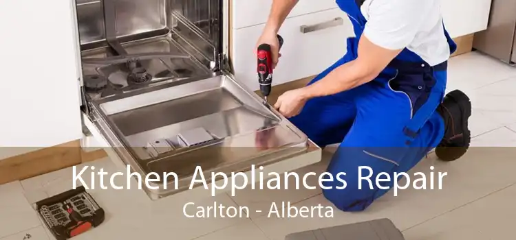 Kitchen Appliances Repair Carlton - Alberta