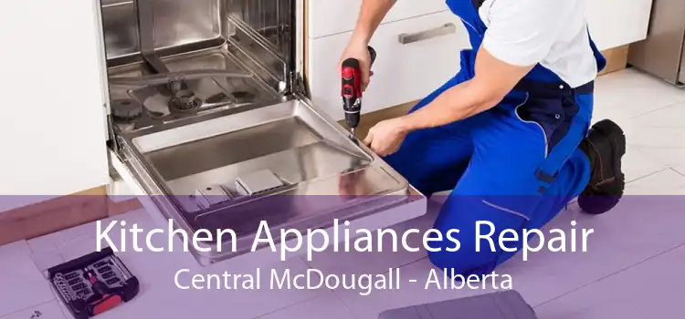 Kitchen Appliances Repair Central McDougall - Alberta