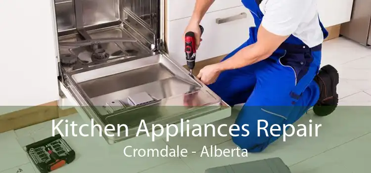 Kitchen Appliances Repair Cromdale - Alberta