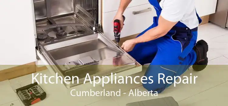 Kitchen Appliances Repair Cumberland - Alberta