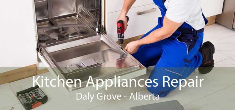 Kitchen Appliances Repair Daly Grove - Alberta