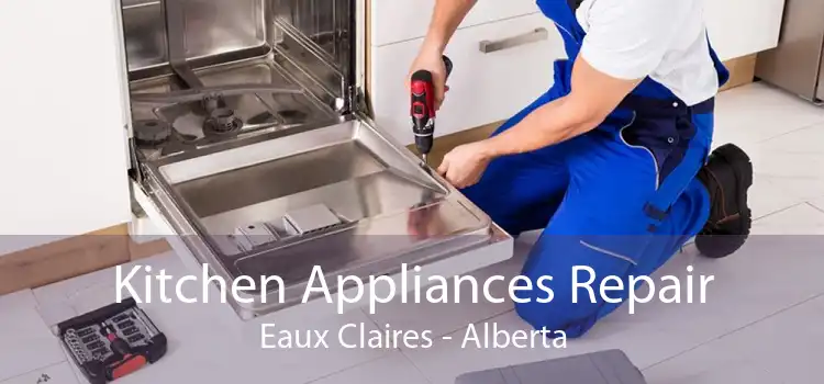 Kitchen Appliances Repair Eaux Claires - Alberta