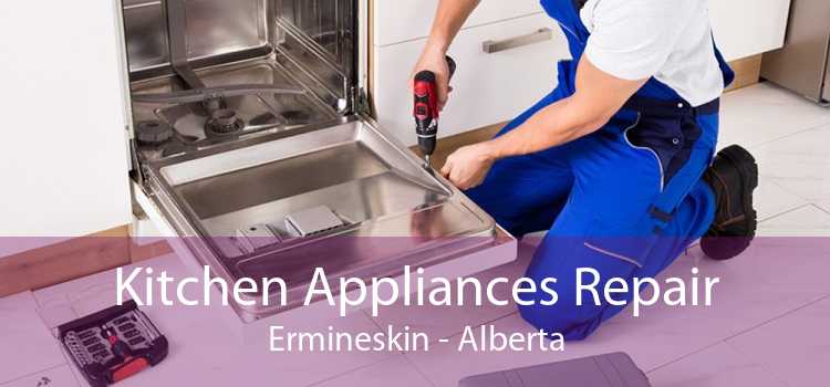 Kitchen Appliances Repair Ermineskin - Alberta