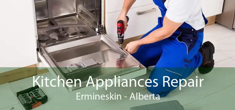 Kitchen Appliances Repair Ermineskin - Alberta