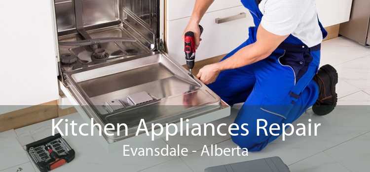 Kitchen Appliances Repair Evansdale - Alberta