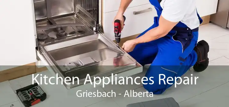 Kitchen Appliances Repair Griesbach - Alberta