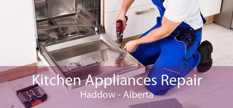 Kitchen Appliances Repair Haddow - Alberta