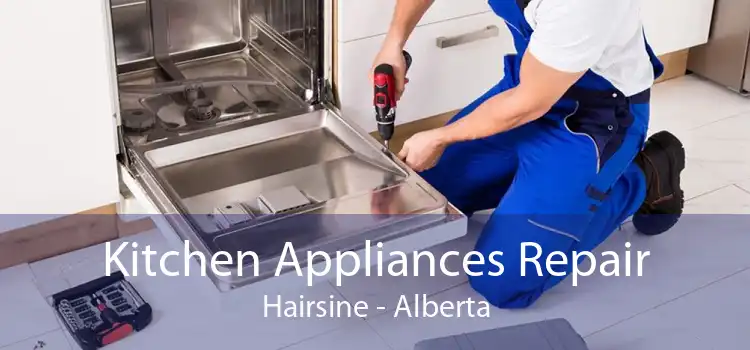 Kitchen Appliances Repair Hairsine - Alberta