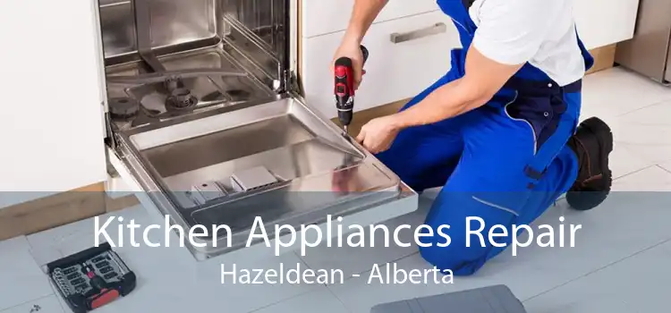 Kitchen Appliances Repair Hazeldean - Alberta