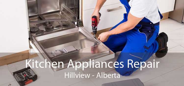 Kitchen Appliances Repair Hillview - Alberta