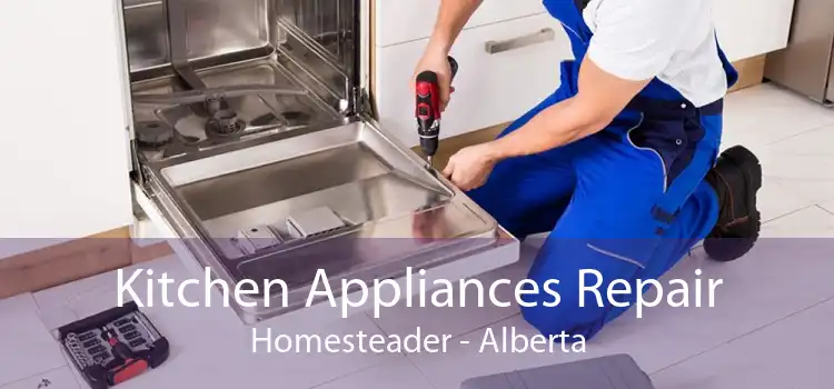 Kitchen Appliances Repair Homesteader - Alberta