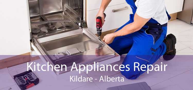 Kitchen Appliances Repair Kildare - Alberta