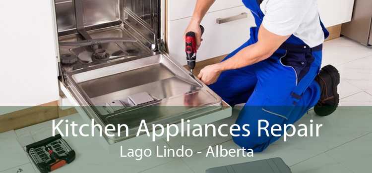 Kitchen Appliances Repair Lago Lindo - Alberta