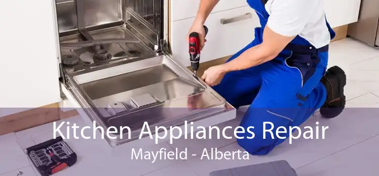Kitchen Appliances Repair Mayfield - Alberta