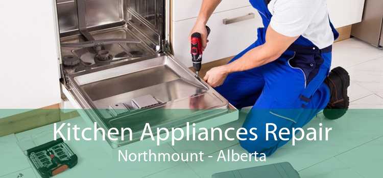 Kitchen Appliances Repair Northmount - Alberta