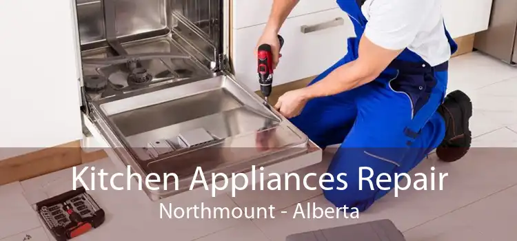 Kitchen Appliances Repair Northmount - Alberta