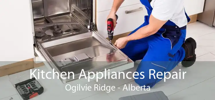 Kitchen Appliances Repair Ogilvie Ridge - Alberta