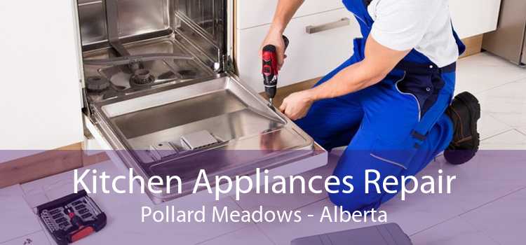 Kitchen Appliances Repair Pollard Meadows - Alberta