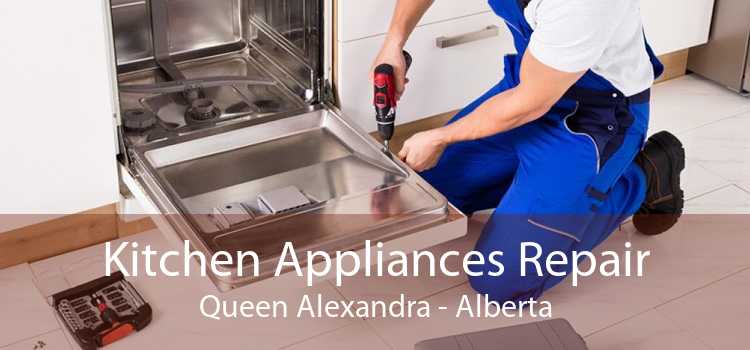 Kitchen Appliances Repair Queen Alexandra - Alberta