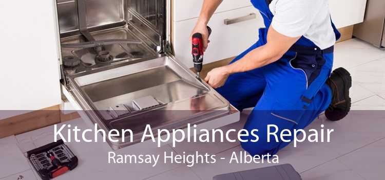 Kitchen Appliances Repair Ramsay Heights - Alberta