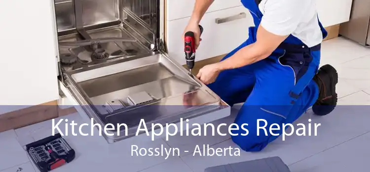 Kitchen Appliances Repair Rosslyn - Alberta