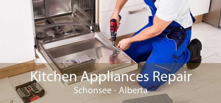 Kitchen Appliances Repair Schonsee - Alberta