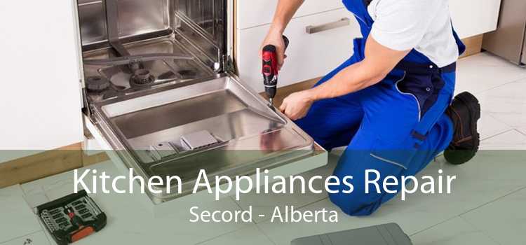 Kitchen Appliances Repair Secord - Alberta