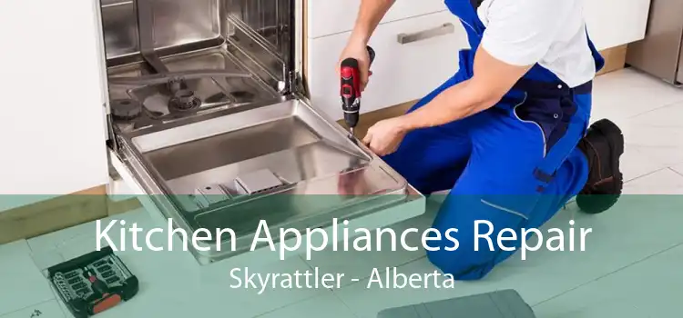 Kitchen Appliances Repair Skyrattler - Alberta