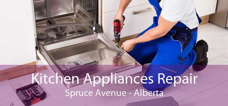 Kitchen Appliances Repair Spruce Avenue - Alberta