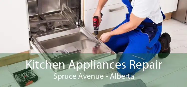 Kitchen Appliances Repair Spruce Avenue - Alberta
