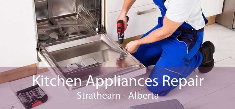 Kitchen Appliances Repair Strathearn - Alberta
