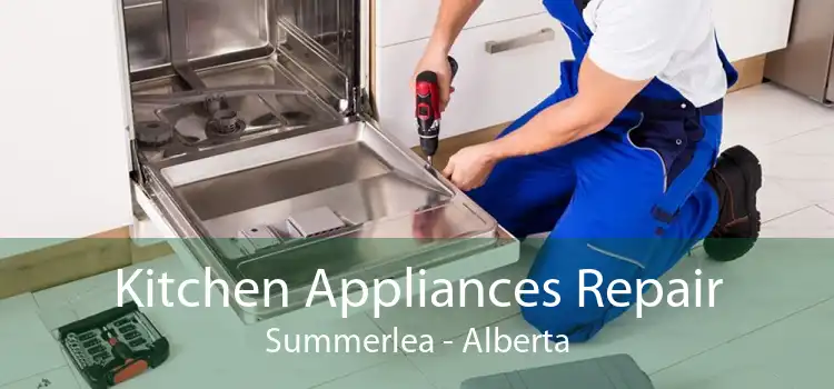 Kitchen Appliances Repair Summerlea - Alberta