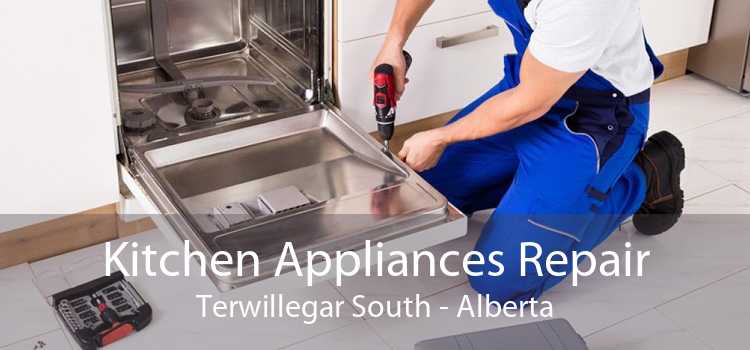 Kitchen Appliances Repair Terwillegar South - Alberta