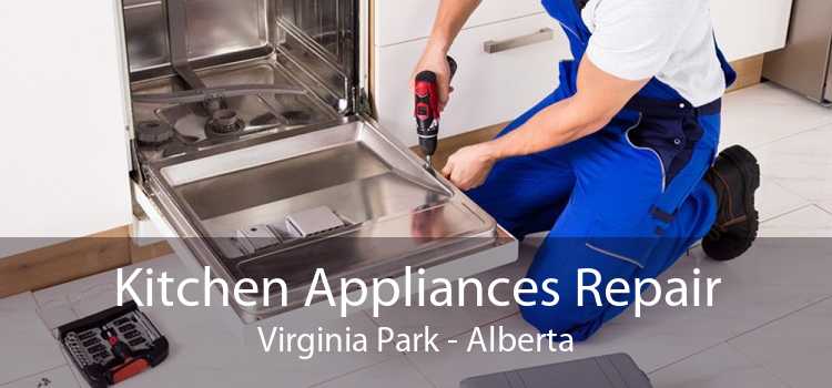 Kitchen Appliances Repair Virginia Park - Alberta