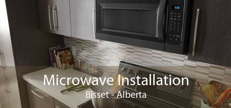 Microwave Installation Bisset - Alberta