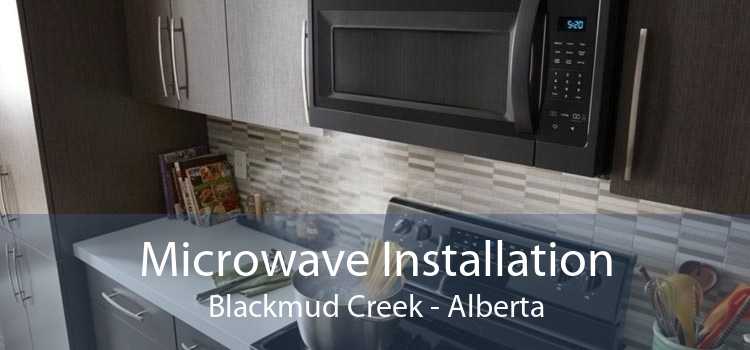 Microwave Installation Blackmud Creek - Alberta