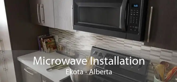 Microwave Installation Ekota - Alberta
