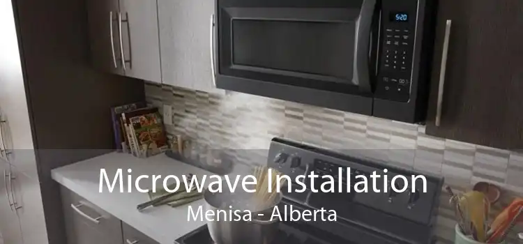 Microwave Installation Menisa - Alberta