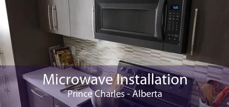 Microwave Installation Prince Charles - Alberta
