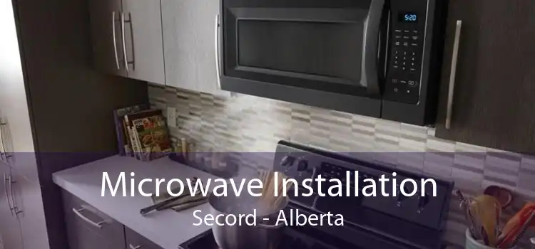 Microwave Installation Secord - Alberta