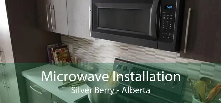 Microwave Installation Silver Berry - Alberta