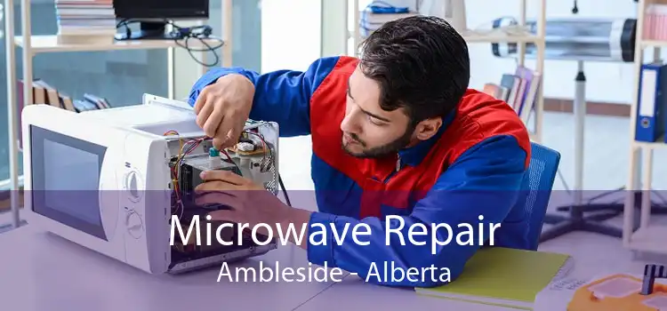 Microwave Repair Ambleside - Alberta