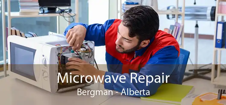 Microwave Repair Bergman - Alberta