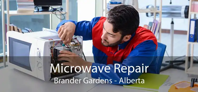 Microwave Repair Brander Gardens - Alberta