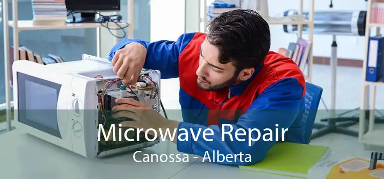 Microwave Repair Canossa - Alberta