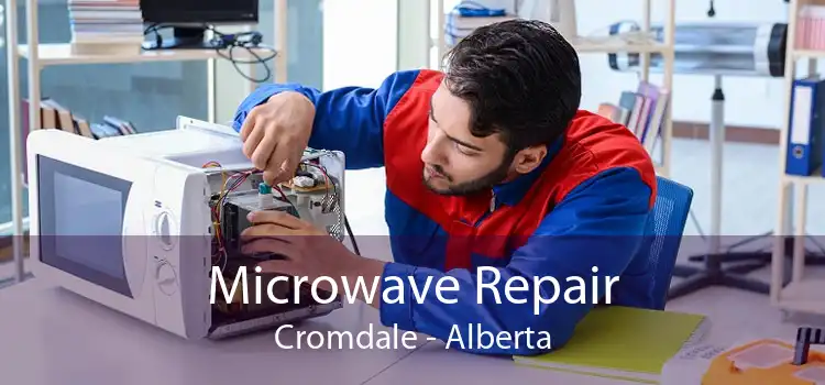 Microwave Repair Cromdale - Alberta