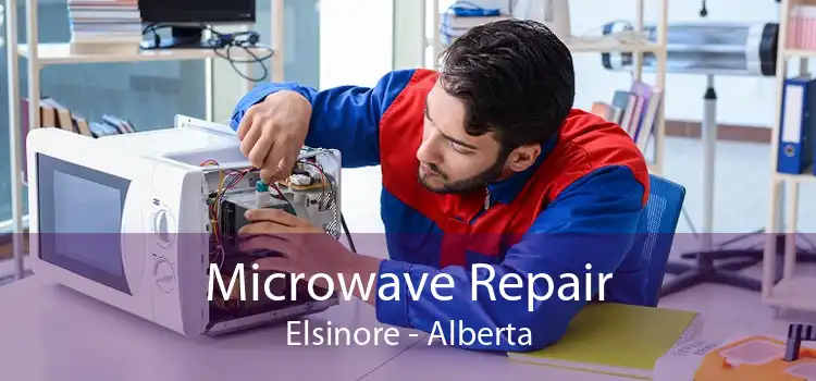 Microwave Repair Elsinore - Alberta