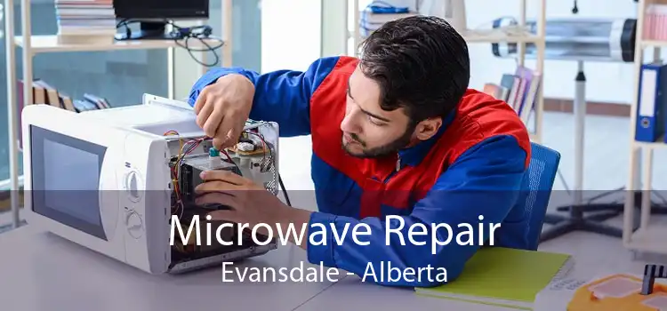 Microwave Repair Evansdale - Alberta