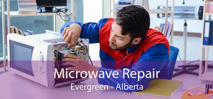 Microwave Repair Evergreen - Alberta