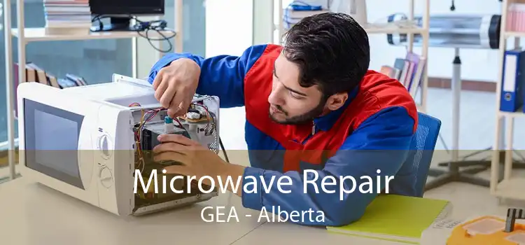Microwave Repair GEA - Alberta